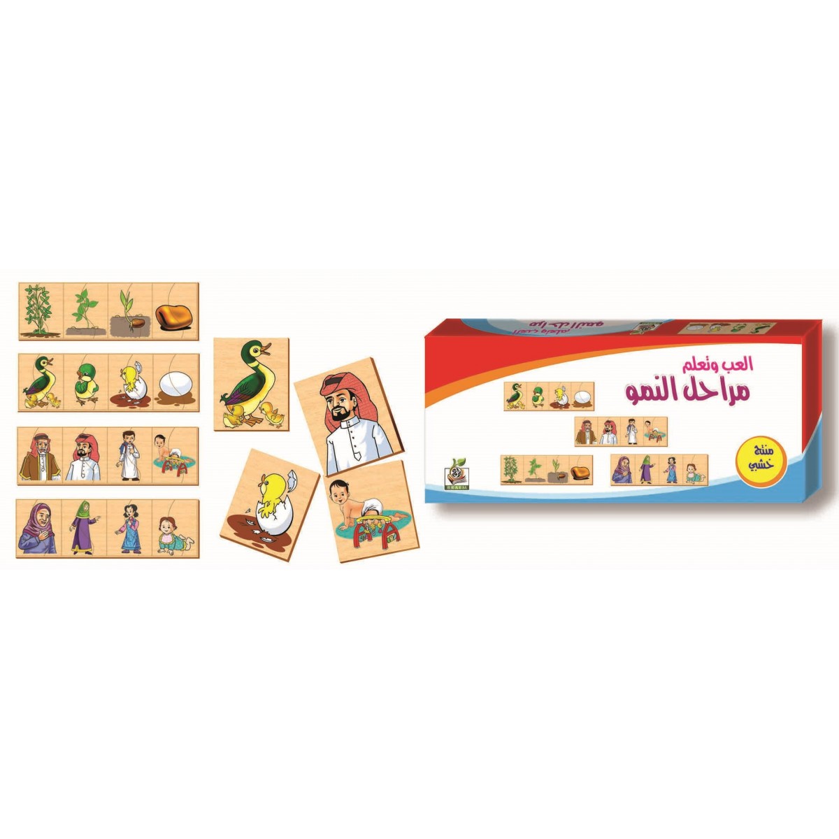 هيا نتعلم - بزل مراحل النمو - خشبي 